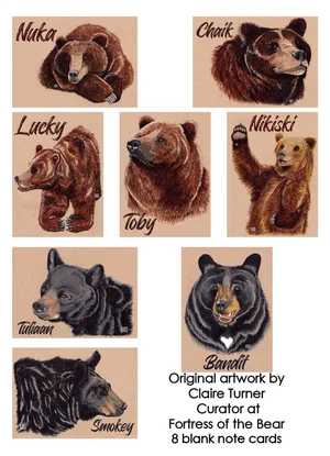 Postcards — Fortress of the Bear